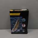 15-35x70 Binoculars for Adults High Powered, 35x HD Zoom for Stargazing & Bird Watching, Waterproof Binocular with Tripod Adapter, Ideal Essentials for Cruise Ship, Travel, Camping, Outdoor, Hunting