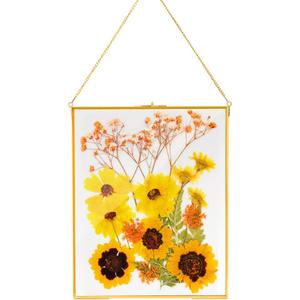 AVLA Brass Hanging Photo Frame, 11x14 Inch Double Glass Floating Display for Pressed Flowers, Large Picture Artwork, Golden Gallery Wall for Specimen, Certificate, Home Decor