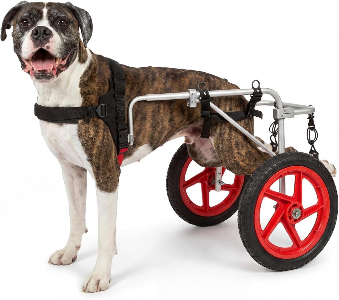 Best Friend Mobility Large Back Leg Dog Wheelchair | 2.0 Design | 2026 Updated Model