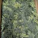 6.2FT Real Touch Christmas Cedar Garland Artificial Realistic Thick and Lush Faux Green Pine Garlands, Classic Christmas Garland for Mantle, Fireplace, Table, Outdoor Indoor Christmas Decorations