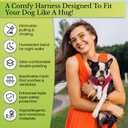 EcoBark Premium Quality Small Dog Harness - Step in Reflective Luxury Soft Mesh Harnesses for Puppies, Toy Breeds, & Small Dogs - Comfortable & Safe Body Halter - Adjustable Pet Vest (Small- 7 to 10 lbs - Chest Up to 14 in (Pack of 1), Green)