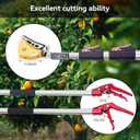 FLORA GUARD Extendable Tree Pruner 4.6-10ft, Telescoping Pole Pruner & Pole Saw with Cut & Hold Fruit Picker, Lightweight Long Reach Branch Trimmer for High Trees, 3m