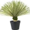 Artificial Agave Plant in Black Pot with Real Stone Pebbles, Large Fake Plants with Fake Green Moss, Faux Yucca Rostrata with Long Sword-Shaped Leaves for Indoor/Outdoor-23 Inches,1 Pack