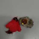 Potaroma Cat Toys Chirping Birds 2 Pcs with Catnip SilverVine, Interactive Cat Kicker, Lifelike Birdie Tweets, Indoor Kitty Kitten Exercise Toys 4.0"