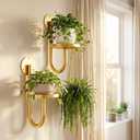 Wall Plant Holder Set of 2 for Outdoor, Metal Hanger | Floating Flower Display Stand for Window, Space Saving & Easy to Assemble (Pots/Plants Not Included),Golden