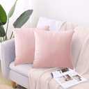 2 Pack Soft Velvet Couch Throw Pillow Covers 20x20 Inch for Sofa Living Room Bedroom (Pink)