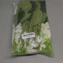 WISTART 8pcs White Hydrangea Artificial Flowers 27.57" Large Realistic Single Long Stem Faux Silk Hydrangea Bouquets Flowers Arrangements Home Office Decor Wedding Centerpieces DIY