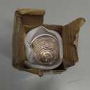 Ackers 4 oz Glass Measuring Cup Shot Glass with Ounce, Ml, Cups Markings for Kitchen & Bar (Pack of 2)