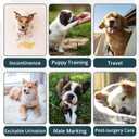 Paw Legend Washable Dog Belly Band Wrap Diapers for Male Dog | High Absorbing Puppy & Doggy Diapers Male (3 Pack,Army,Grey,Navy,Small)