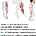 Anti Embolism Compression Stockings, Thigh High Unisex Ted Hose Socks 15-20 mmHg Moderate Level (White, XL)