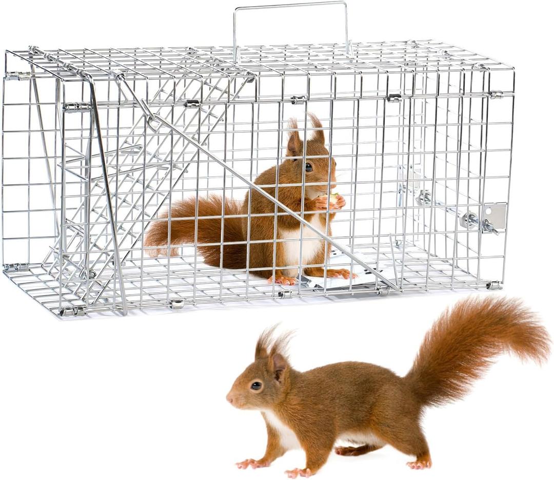 17" Humane Squirrel Trap, Folding Live Small Animal Trap, Easy Catch and Release
