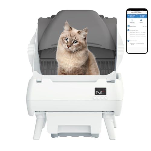 Automatic Cat Litter Box Self Cleaning - App Control, Open-Design, Smart Health Monitor, Suitable for Medium Cats and Kittens, Anti-Pinch Safety, Quiet Operation - White