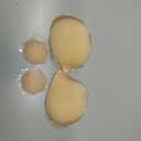 Niidor Adhesive Bra Strapless Sticky Invisible Push up Silicone Bra for Backless Dress with Nipple Covers Nude(B Cup)