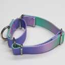 Martingale Dog Collar Colorful Gradient Fashionable - Anti-Escape Soft Durable Pets Collar for Walking Training Outdoor Daily Use -Large, Purple Green