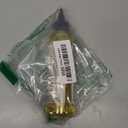 Carol's Daughter Goddess Strength 7 Oil Blend Scalp and Hair Oil for Waves, Coils and Curls, Hair Treatment with Castor Oil, 4.2 Fl Oz