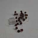 Thanksgiving Acorn Lights Fall Garland Decorative Fairy String Light Cute Novelty Lights 30 LEDs 10 ft USB or Battery Operated for Bedroom Wedding Xmas Harvest Decor