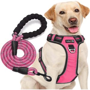 No Pull Dog Harness Adjustable Reflective Oxford Easy Control Medium Large Harness with A Free Heavy Duty 5ft Dog Leash (L (Neck: 18"-25.5", Chest: 24.5"-33"), Pink) (Pink Harness+Leash)