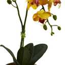 Nearly Natural Phalaenopsis Orchid with Clay Vase (Set of 4)