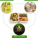 Yesland 100 Pack Compostable Paper Plates, Natural Sugarcane 3 Compartment Plate, Heavy Duty Lunch Tray, Disposable Divided Sectional Trays, Microwave Freezer Safe for Party School