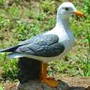 Real Seagull Outdoor Sculpture,Garden Bird Statue,Beach Statue Decor,Resin Animal Seabird Ornaments,Coastal Beach Decor,Patio Decor for Outdoor Table Decorfor Garden,Terrace,Lawn,Yard