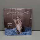 2026 Lovable Cats Wall Calendar