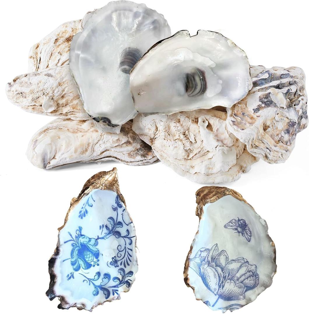 15Pcs Oyster Shells for Crafts, 4-5 Inch Natural Oyster Shells Bulk, Large Sea Shell for Crafting and DIY Painting, Beach Themes and Wedding Decor, Home Vase Fillers, and Xmas Ornaments