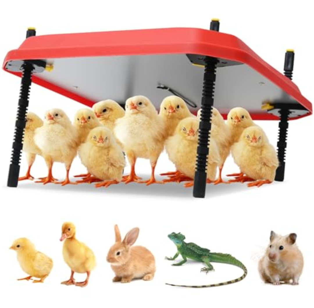 OUYOLAD Chicken Brooder Heating Plate 16" x 16", Chick Brooder Heater Plate, Brooder Heating Plate for Chicks and Ducklings, Temperature Adjustable, Adjustable Height 100W Warms Up to 30 Chicks