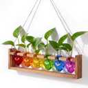 Remerry 6 Rainbow Heart Glass Plant Terrarium Halloween Witch Home Decor, 6 Heart Vases