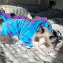 Dinosaur Pet Costume Hooded Jumpsuit for Small Dogs Cats, Soft Flannel Warm Four-Legged Clothing with Leash Hole, Funny Cosplay Outfit for Easter Halloween Christmas (Small, Dinosaur)