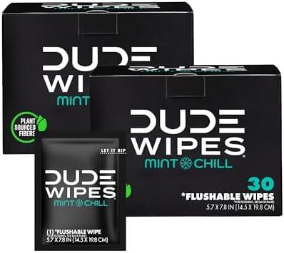 DUDE Wipes On-The-Go Flushable Wet Wipes - 30 Count, Pack of 2 - Mint Chill Extra-Large Individually Wrapped Wipes with Eucalyptus & Tea Tree Oil - Septic and Sewer Safe