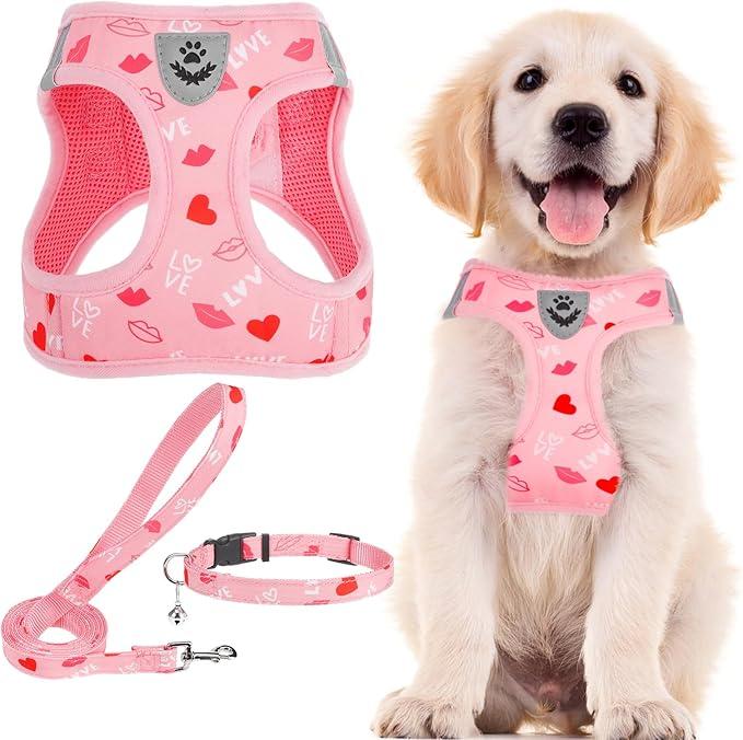 PUPTECK Adjustable Dog Harness Collar and Leash Set Step in No Pull Pet Harness for Small Medium Dogs Puppy and Cats Outdoor Walking Running, Soft Mesh Padded Reflective Vest Pink Red Heart Harnesses Medium