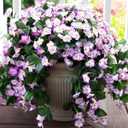 HyeFlora Artificial Fake Hanging Flowers Plants Vines for Outdoor Spring Decoration, 2PCS Faux Silk Orchid Long Stems Look Real UV Resistant for Home Outside Garden Wall Indoor 