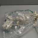 LUKBERA Halloween Dog Skeleton Decorations, Animal Bones Skeletons with Posable Joints for Haunted Houses, Graveyard Scenes, Halloween Party Decor