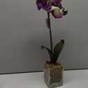 Nearly Natural 20in. Orchid Phalaenopsis Artificial Arrangement in Vase