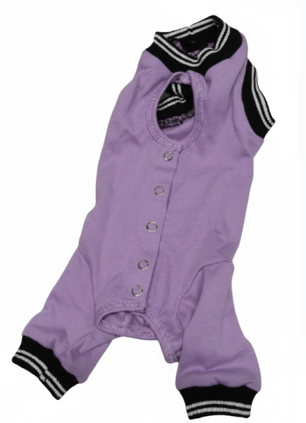 Small Dog Purple Onesie Purple Size S