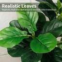 6FT Artificial Fiddle Leaf Fig Tree with White Planter & Fake Moss, Realistic Faux Ficus Lyrata Floor Plant for Indoor Home Office Decor, Housewarming Gift