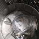 BLACK+DECKER Small Portable Washer, Washing Machine for Household Use, Portable Washer 2.0 Cu. Ft. with 6 Cycles, Transparent Lid & LED Display