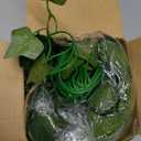 CQURE 24 Pack 168Ft Artificial Ivy Fake Vines,Ivy Garland Greenery Garland Fake Hanging Plants Vines Aesthetic Green Leaves for Bedroom Wedding Party Garden Wall Room Decor