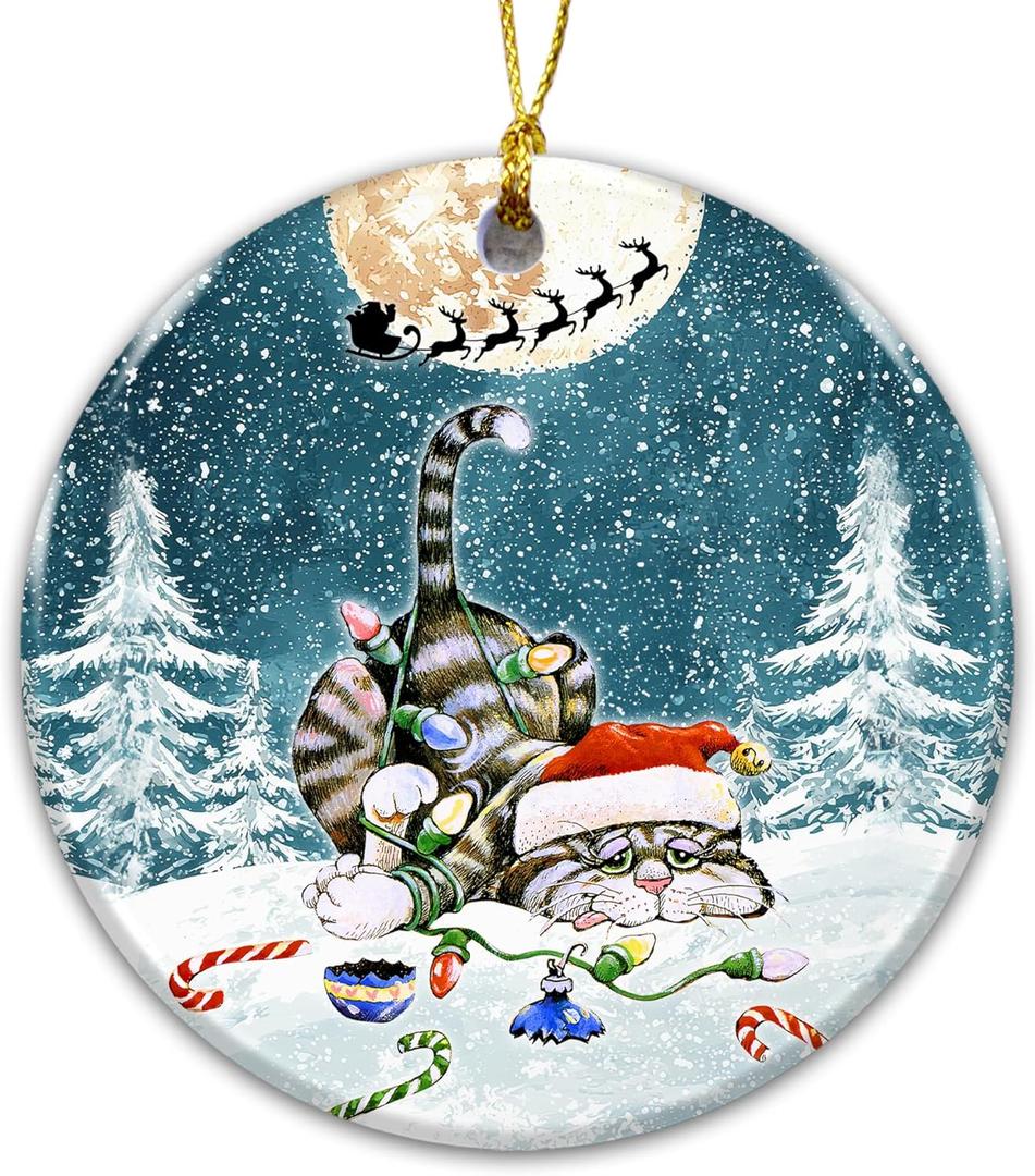 6 x Funny Cat Ornament 2025, White Elephant Gift  Holiday Decoration with Kitten in Santa Hat Watching Santas Sleigh  Cute Pet Lover Gift  Rustic Farmhouse Xmas Tree Keepsake