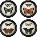 4 Pcs 7 Inch Vintage Round Wood Framed Butterfly Wall Art Insect Illustration Prints Picture Butterfly Art Wooden Wall Hanging Picture Frames for Living Room Bedroom Home Decor