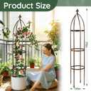6.3Ft 100% Metal Garden Obelisk Trellis for Climbing Plants Outdoor, Rose Trellis for Potted Plants, Sturdy Garden Trellis for Climbing Vines, Vegetables, Flowers Stands, 1 Pack