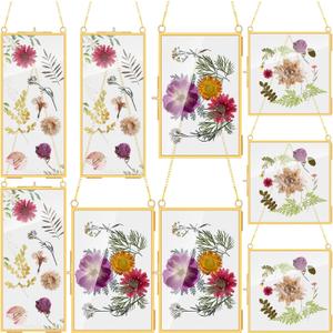 Barydat 9 Pack Gold Glass Frames for Pressed Flowers 6 x 6, 6 x 8, 4 x 9 in Hanging Picture Frame Floating Art Photo Display with Chain for Dried Plant Specimen Gallery Wall Decor