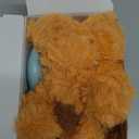 WEOK Heartbeat Puppy Toy, Comfort Cuddler Pillow, Dog Anxiety Relief Calming Aid, Heartbeat Stuffed Toy for Dogs, Puppy Heartbeat Toy Sleep Aid, Dog Heartbeat Toy for Pet (Brown2)