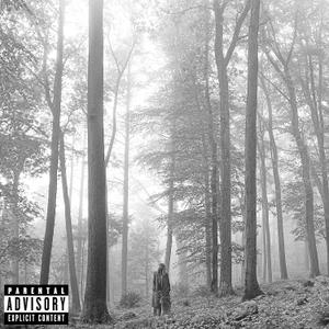 Folklore Explicit Lyrics CD Audio