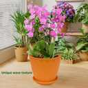 6 inch Plant Pots 10 Packs Thickened House Plant Pots Indoor Outdoor Flower Pots with Drainage Holes and Saucers (Multicolor)