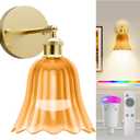 Battery Operated Wall Sconce, Decor Rechargeable Battery Wall Sconce, 10000mAh Dimmable Detachable Bulb and Remote, 18 Colors Wall Lamps for Bedroom Living Room Hallway (Complete Kit)