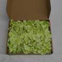 Hydrangea Artificial Flowers, 20 Pcs Green Hydrangea Artificial Flowers Bulk, Faux Hydrangea Flowers for Outdoor, Fake Silk Hydrangea Flowers with Stems for Wedding Decoration Decor