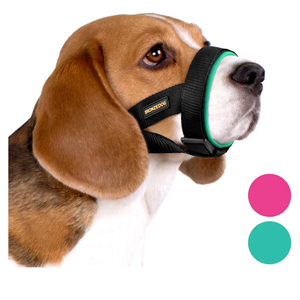 BRONZEDOG Soft Padded Dog Muzzle Adjustable Neoprene Comfort Bitting Chewing Pet Muzzles for Small Medium Large Dogs Puppy (Mint Green, Small)