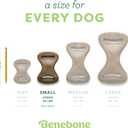 Benebone Dental Durable Dog Chew Toy for Aggressive Chewers, Real Chicken, Made in USA, Small