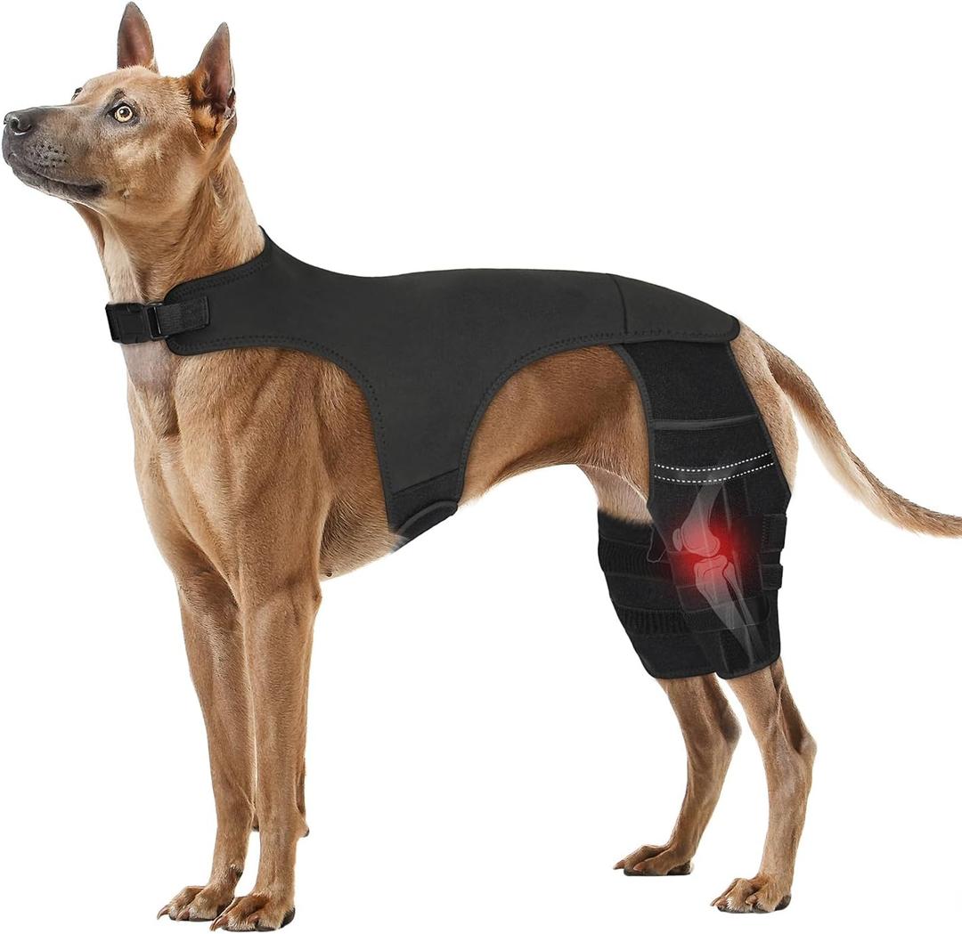 Adjustable Dog Knee Brace for ACL Tear and Arthritis Recovery - Dual Hind Leg Support with Harness Connection - Orthopedic Leg Wrap for Joint Stability and Pain Relief in Dog ((XX-Large)